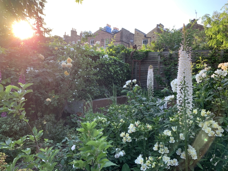 London Fields Gardens